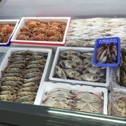 北京西南郊肉類水產品市場全攻略 電話、地址、價格與營業時間